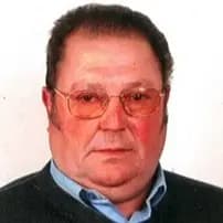 António Henriques Simões Palheira