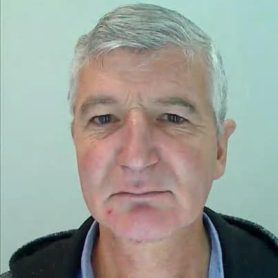 Henrique Manuel Farinha Afonso