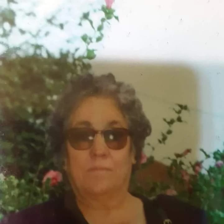 Maria Alzira Dias Fernandes